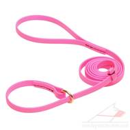 Hot Pink Dog Leash and Collar Set