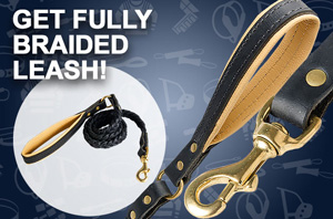 Chain Dog Lead