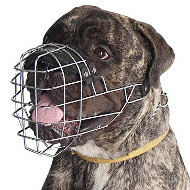 Large Bullmastiff Muzzle UK Wire Basket Individual Form, Padded