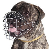 Large Bullmastiff Muzzle UK Wire Basket Individual Form, Padded - Click Image to Close