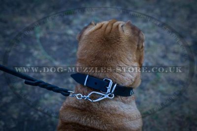 "Tetrahedron" Best Dog Collar For Shar Pei UK 1" (2.5 cm)