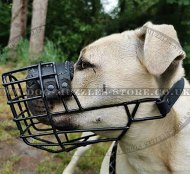 Dog Muzzle for Staffordshire Bull Terrier & Amstaff Muzzle Size