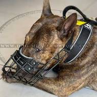 Best English Bull Terrier Basket Muzzle Black Rubber Covered