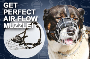 wire dog muzzle