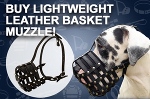 leather dog muzzle