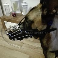 Belgian Malinois Leather Muzzle for Agitation and Biting