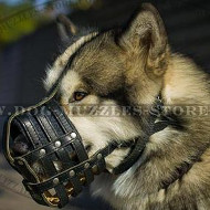 Soft Padded Dog Muzzle for Malamute and Husky Soft Padded Dog Muzzle for Malamute and Husky