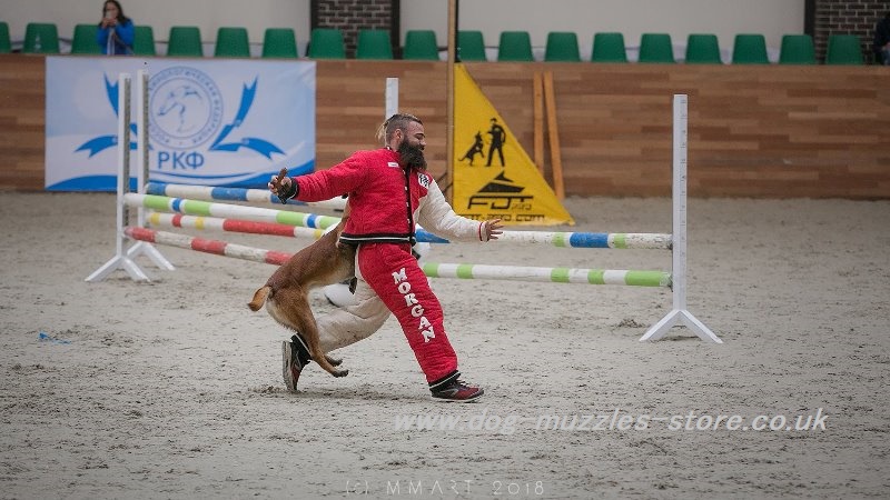 Mondioring dog sport UK