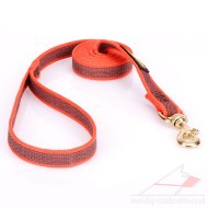 Tear-Proof Orange Dog Lead UK For Dog's Daily Activities