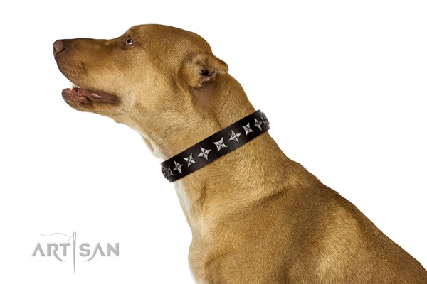 Pitbull dog collar from FDT Artisan