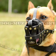 Pitbull Dog Leather Muzzle Super Ventilated & Lightweight