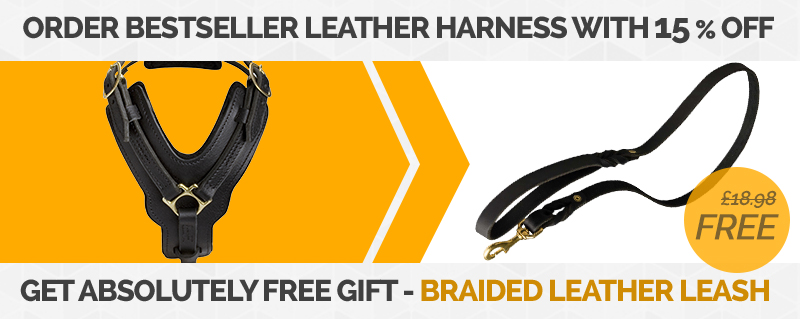 dog harness and leash free