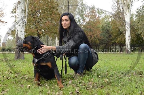 Rottweiler Dog Training