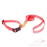 Red Biothane Dog Collar and Leash Set Super Strong