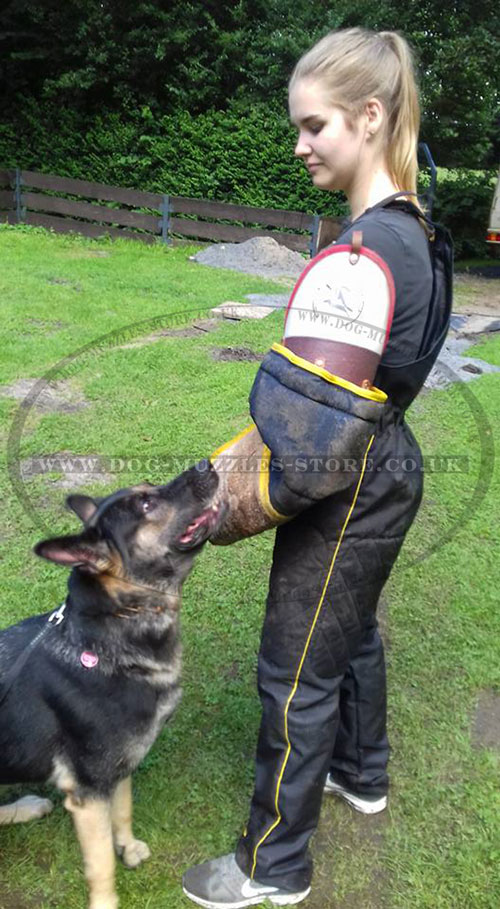 Dog Training Scratch Pants