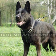 German Shepherd Padded Dog Harness for K-9 Dogs