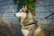 "Reliable Grip" Tear-Proof Nylon Dog Collar For Husky Daily Walk