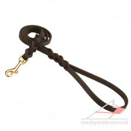 Leather Dog Lead for Shar Pei Walking