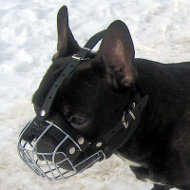 French Bulldog Muzzle UK from the Producer | Small Dog Muzzle