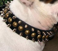 Brass Spiked Dog Leather Collar