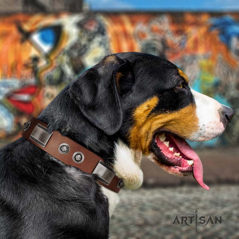 Swiss Mountain Dog Prong Collar Swiss Mountain Dog Prong Collar