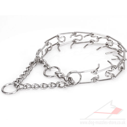 pinch collar for dog in UK