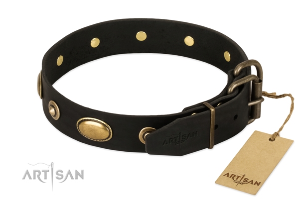 thick leather dog collar