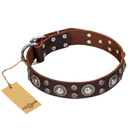 Studded Dog Collar 'Age of Beauty' FDT Artisan