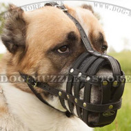 Alabai Muzzle for Big Dog, Soft and Strong Leather Basket