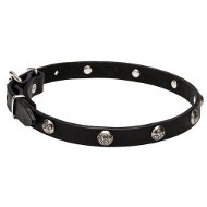 Beautiful Dog Leather Collar with Flowery Studs 