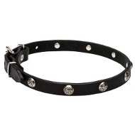 Beautiful Dog Leather Collar with Flowery Studs "Lucky"