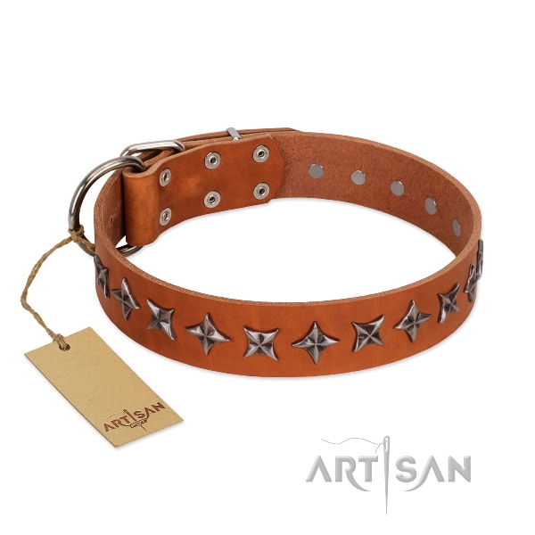 Easy Adjustable Leather Dog Collar with Stars FDT Artisan