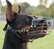 best dog muzzle uk