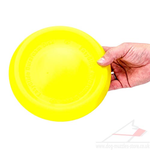 dog Frisbee toys online