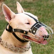Basket English Bull Terrier Muzzle UK with Perfect Ventilation