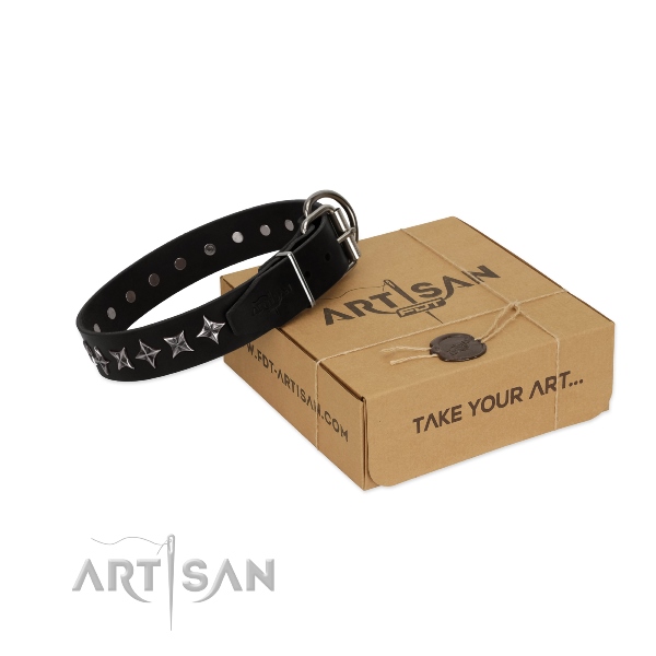gift idea for dog