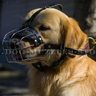 SOFT PADDED BASKET MUZZLE FOR GOLDEN RETIRIEVER