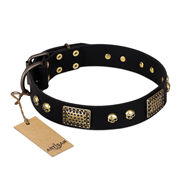 Fashionable Black Dog Collar FDT Artisan 'Biker Style'