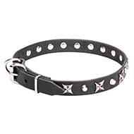 Great Leather Dog Collar "Blazing Stars"