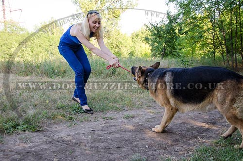 German Shepherd ball