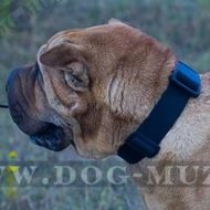 Easy & Durable Nylon Shar Pei Collar with Plastic Quick Release