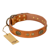 Best Quality Leather Dog Collar FDT Artisan Baroque Style Best Quality Leather Dog Collar FDT Artisan Baroque Style