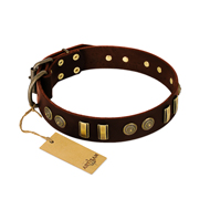 Brown Elegance FDT Artisan Brown Leather Dog Collar with Studs