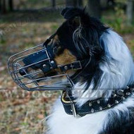 Bestseller Wire Basket Muzzle for Collie Dog Breed Snout Shape