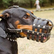 Nappa Padded Dog Muzzle for Doberman Snout Size Nappa Padded Dog Muzzle for Doberman Snout Size