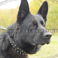 Designer German Shepherd Collar with Spikes and Studs