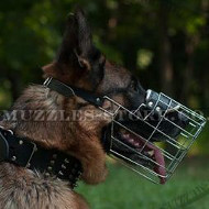 GSD Muzzle That Allows Drinking