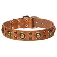 Brass Decorated Designer Dog Collar for Big Dogs Style Brass Decorated Designer Dog Collar for Big Dogs Style
