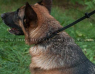 Bestseller! German Shepherd Collar and Lead for Dog Walking