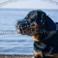 Bestseller Dog Muzzle for Rottweiler Dog Safety and Comfort